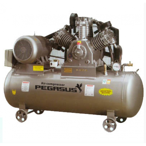  Máy nén khí piston có dầu Pegasus